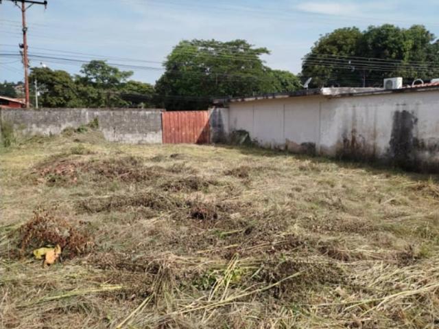 Terreno en venta en Gua, Portuguesa