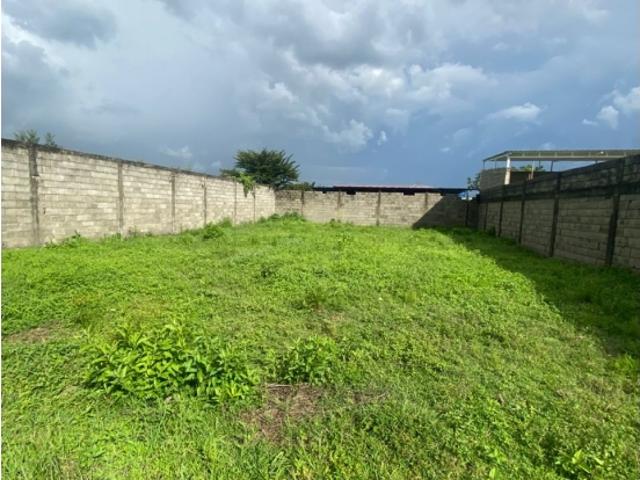 Terreno en venta en Gua, Portuguesa