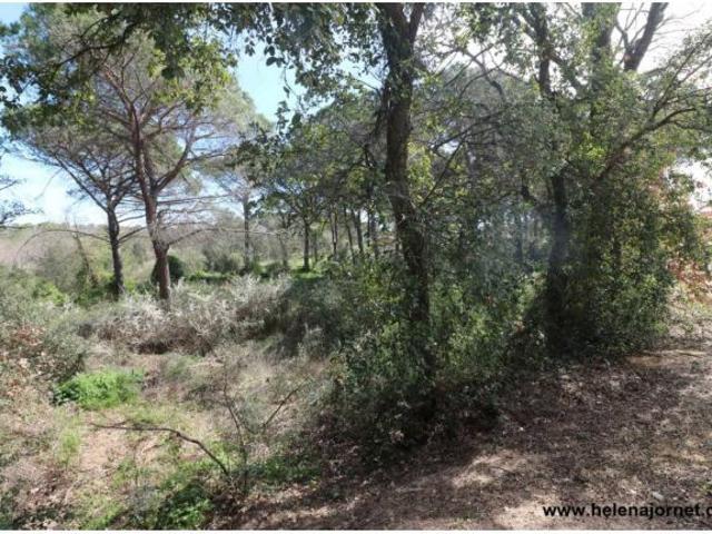 Local Comercial en venta en Caldes De Malavella, Urbanització del Llac del Cigne