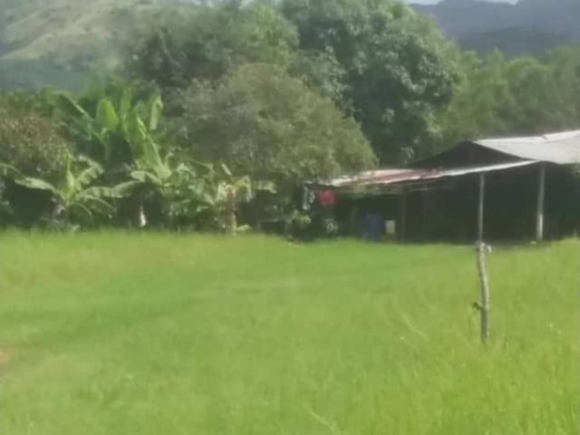 Terreno en venta en Güiria, Sucre