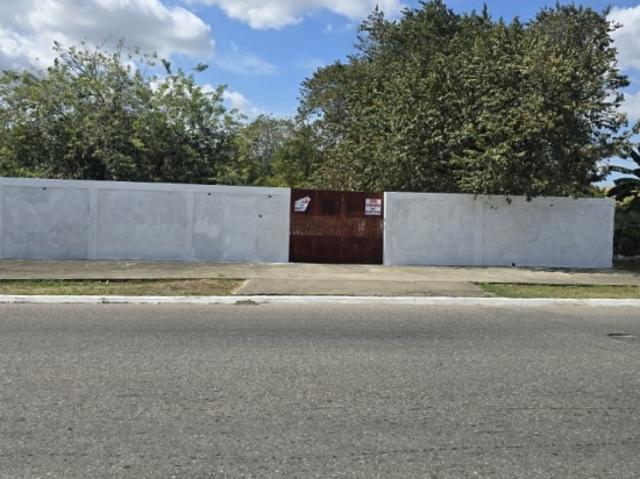 Terreno en venta en Gua, Portuguesa