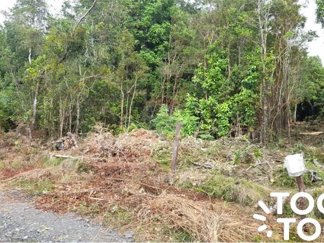 Terreno en venta en Los Lagos, Los Ríos