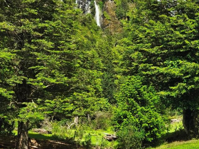 Terreno en venta en Lago Verde, Aysén Del General Carlos Ibáñez Del Campo