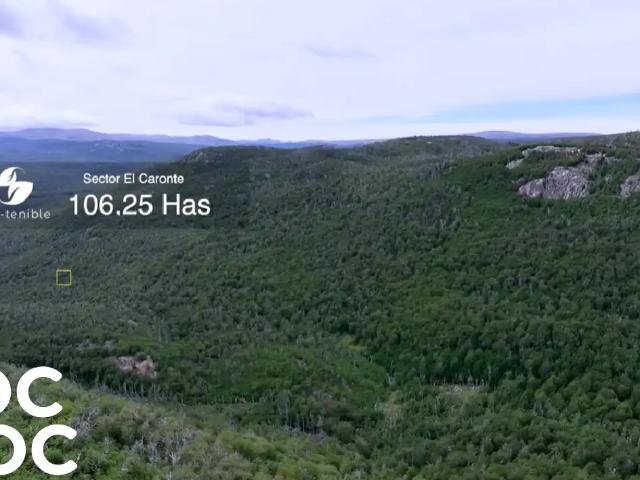 Terreno en venta en Lago Verde, Aysén Del General Carlos Ibáñez Del Campo