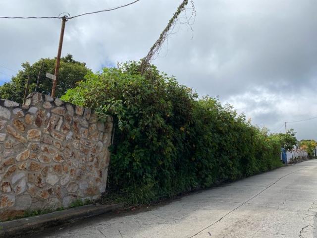 Terreno en venta en Miranda, Carabobo