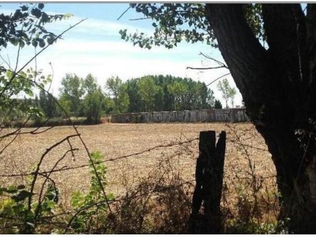 Local Comercial en venta en El Ejido, León