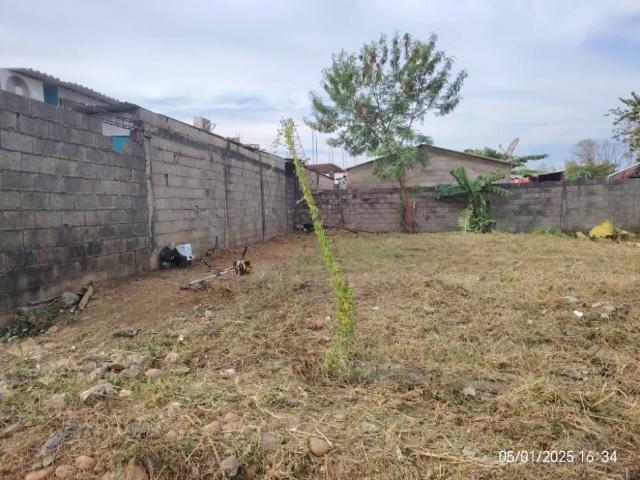 Terreno en venta en Gua, Portuguesa