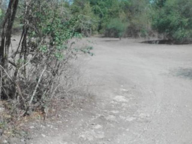 Terreno en venta en Llera, Tamaulipas