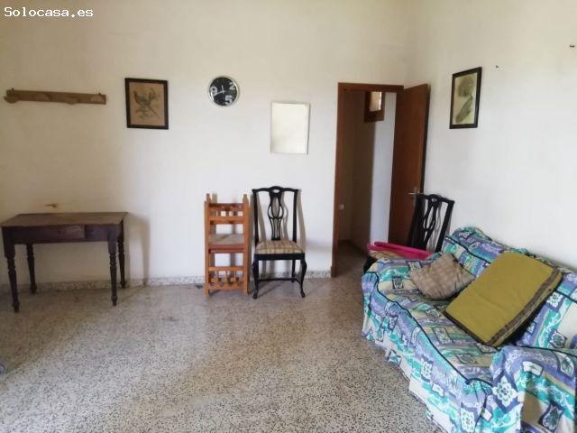 Local Comercial en alquiler en Llucmayor