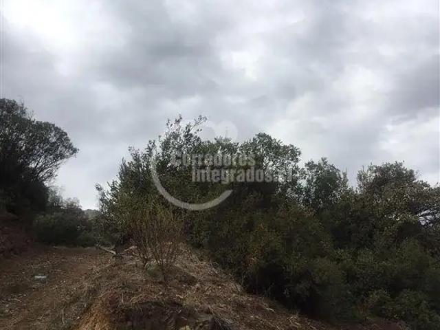 Terreno en venta en El Rodeo, Metropolitana
