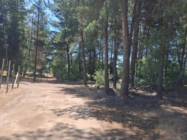 Terreno en Longaví
