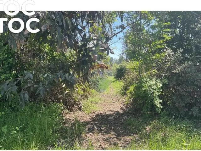 Terreno en Longaví