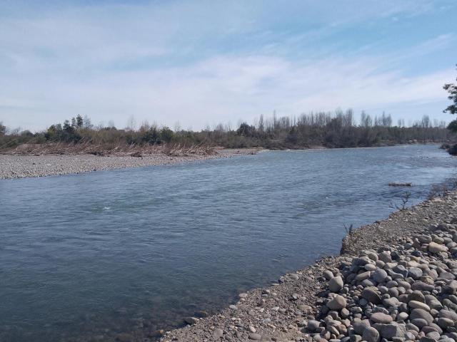 Terreno en Longaví