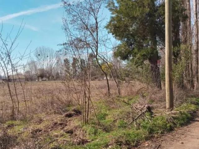 Terreno en Longaví