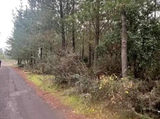 Terreno en venta en El Aromo, Los Ángeles