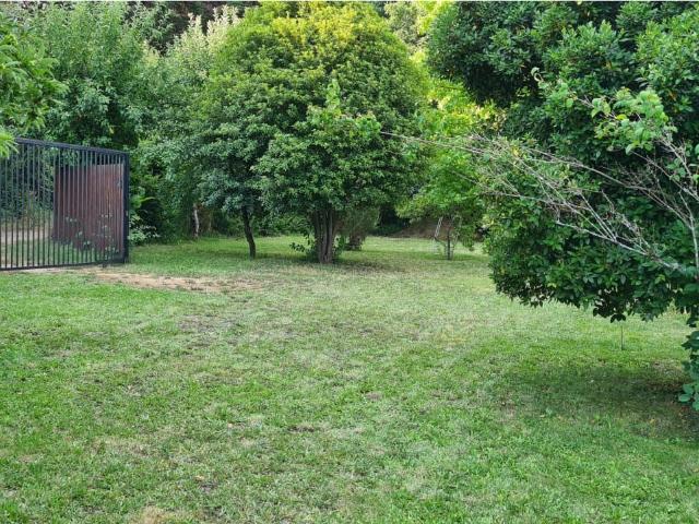 Terreno en Los Ángeles