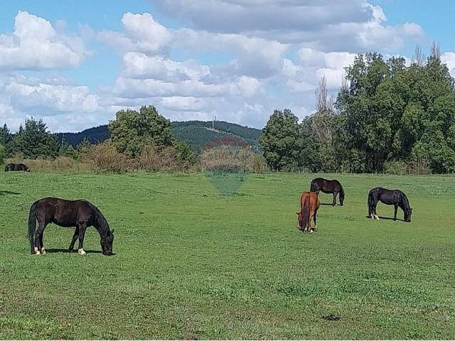 Terreno en Los Ángeles