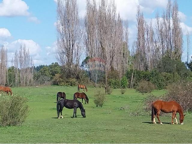 Terreno en Los Ángeles