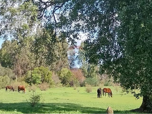 Terreno en Los Ángeles