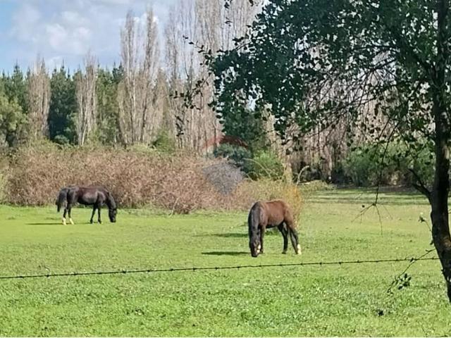 Terreno en Los Ángeles