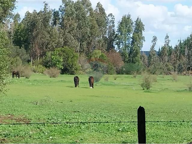 Terreno en Los Ángeles