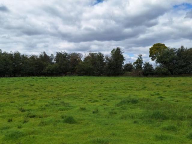 Terreno en Los Ángeles