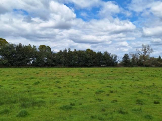 Terreno en Los Ángeles