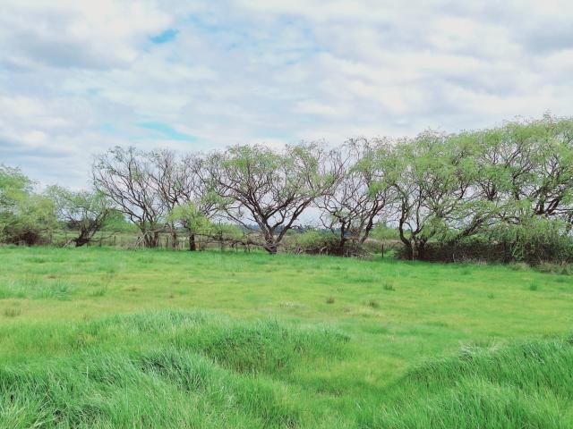Terreno en Los Ángeles