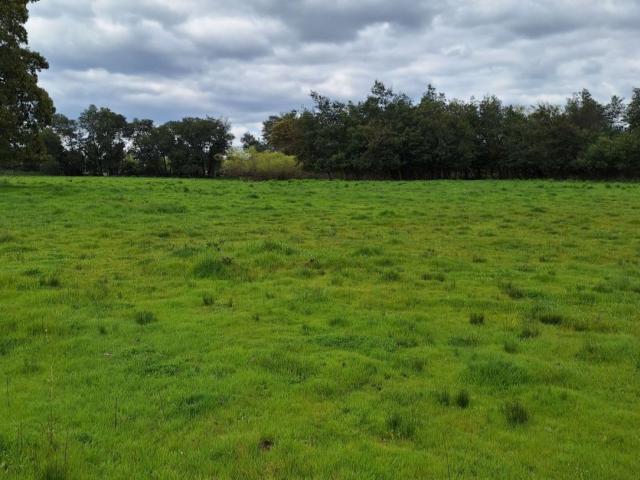 Terreno en Los Ángeles