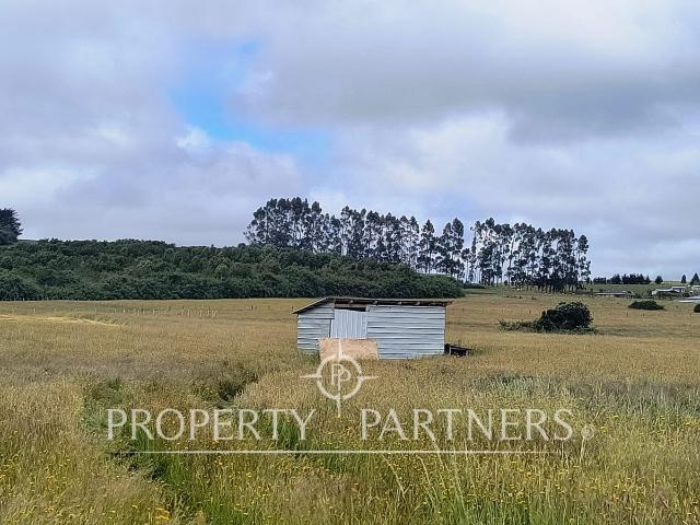 Terreno en Los Muermos