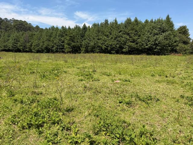 Terreno en renta en Valle De Bravo, Estado de México