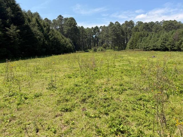 Terreno en renta en Valle De Bravo, Estado de México