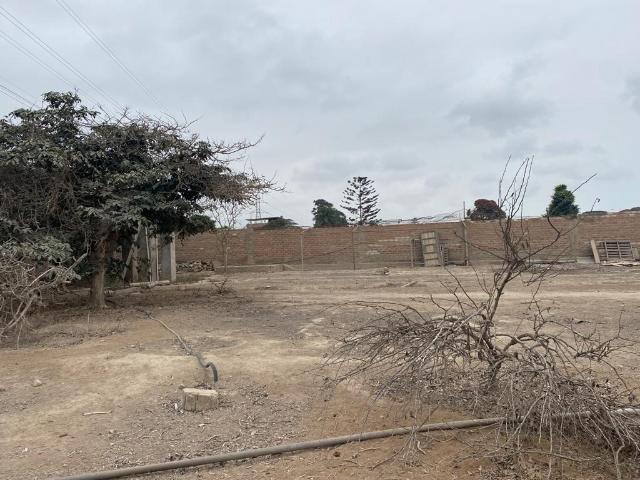 Terreno venta en Lurin, Lima Metropolitana