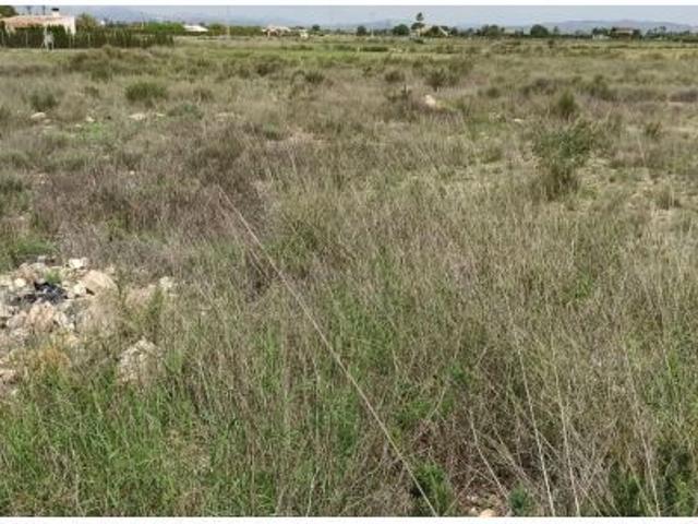 Local Comercial en venta en les Baies / Las Bayas, el Baix Vinalopó