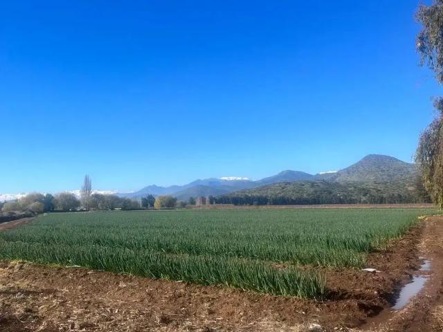 Terreno en venta en Limahue, Malloa