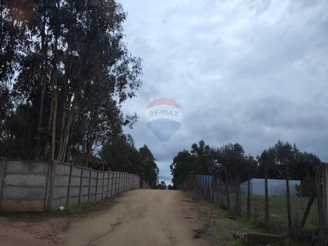 Terreno en Maule