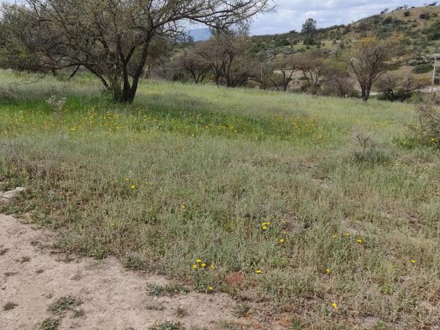 Terreno en Melipilla