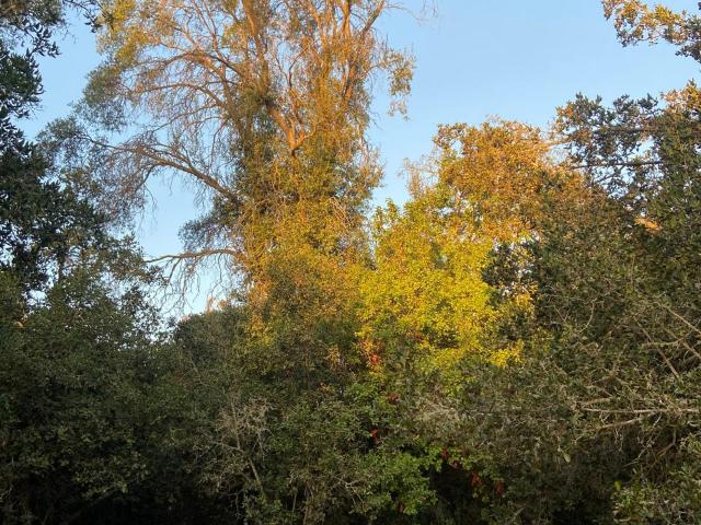 Parcela en Melipilla