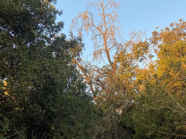 Parcela en Melipilla
