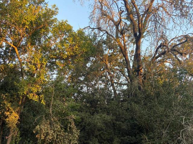 Parcela en Melipilla
