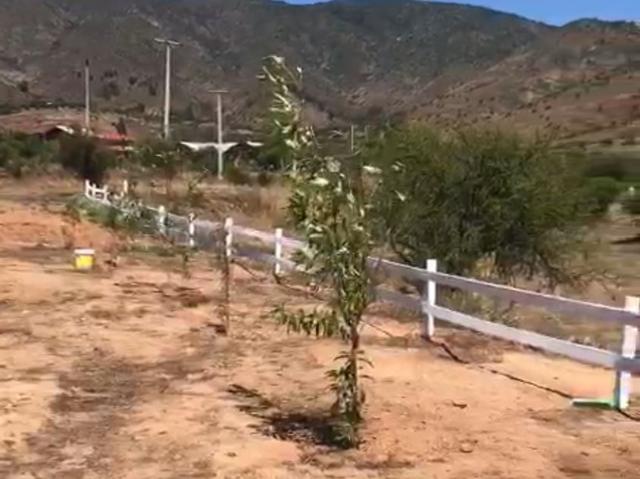 Terreno en Melipilla