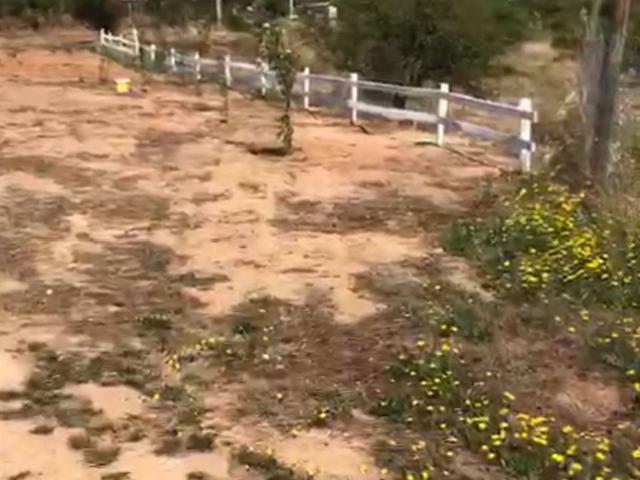 Terreno en Melipilla
