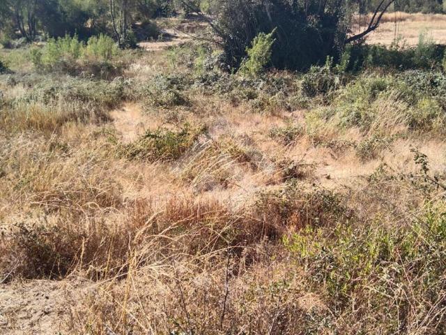 Terreno en venta en Molina, Maule
