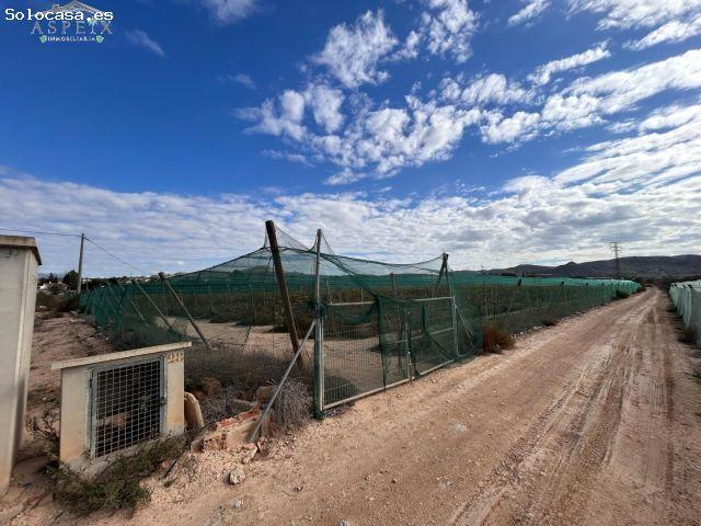 Local Comercial en venta en el Vinalopó Mitjà / El Vinalopó Medio, Valencia