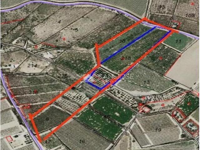 Local Comercial en venta en el Vinalopó Mitjà / El Vinalopó Medio, Valencia