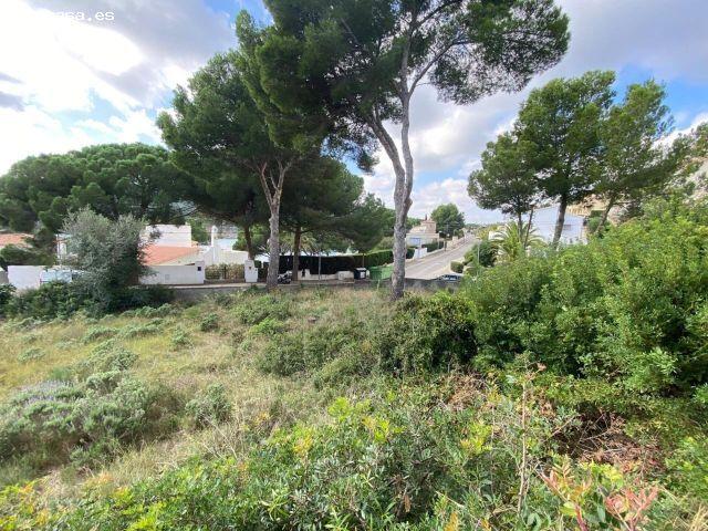 Local Comercial en venta en Alt Empordà, Catalunya