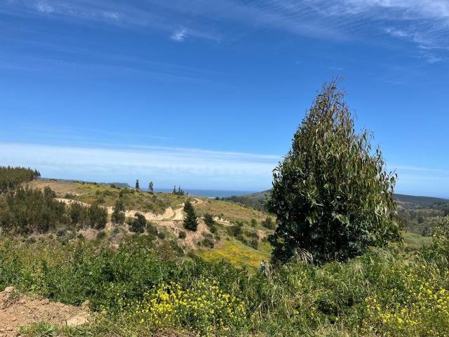 Terreno en venta en Matanza, Libertador General Bernardo O'higgins