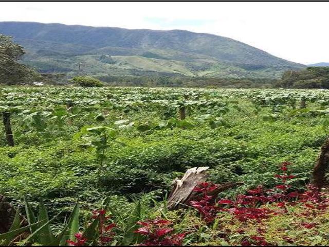 Terreno venta en Oxapampa, Pasco