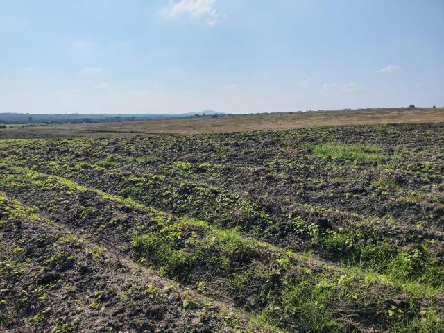 Terreno en venta en Tempoal, Veracruz