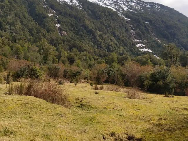 Terreno en venta en Palena, Los Lagos